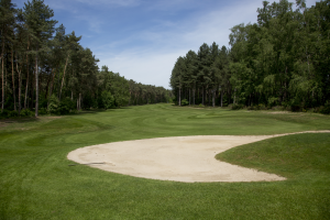 18 holes