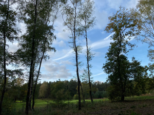Natuurwandeling