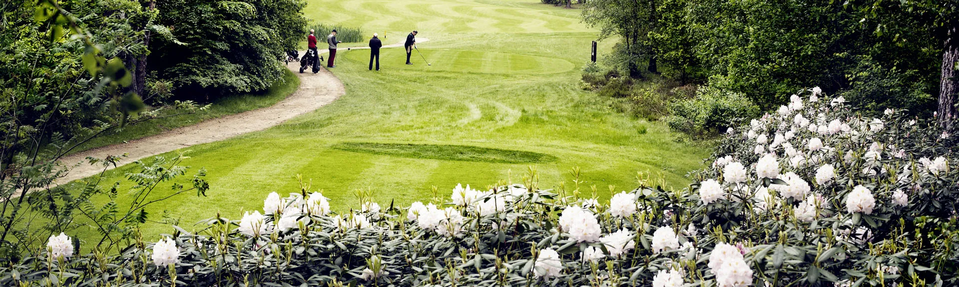 Par 3 baan