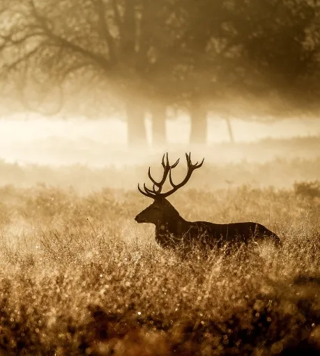 Natuur_Experience_459x510.jpg